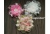 Sequin lace flower (No center), 7-9cm, Pack of 3